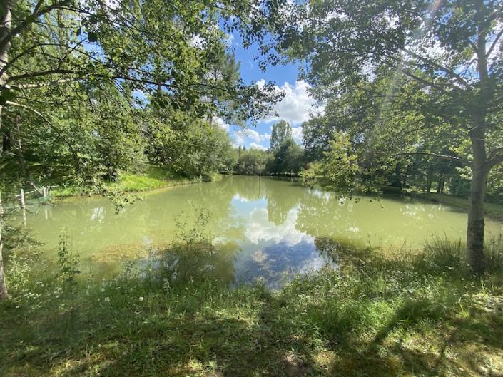 Image No.2-Bungalow de 3 chambres à vendre à Le Fouilloux