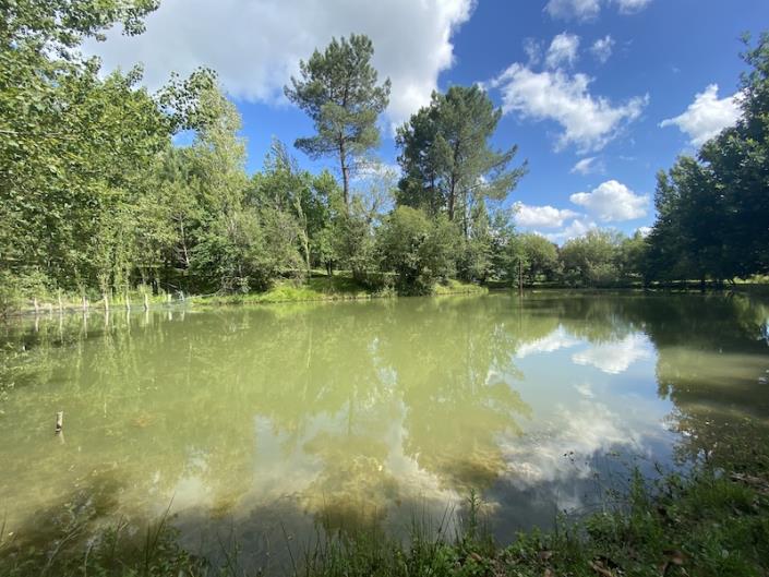 Image No.7-Bungalow de 3 chambres à vendre à Le Fouilloux