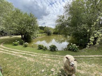 5 Bed Bungalow for sale