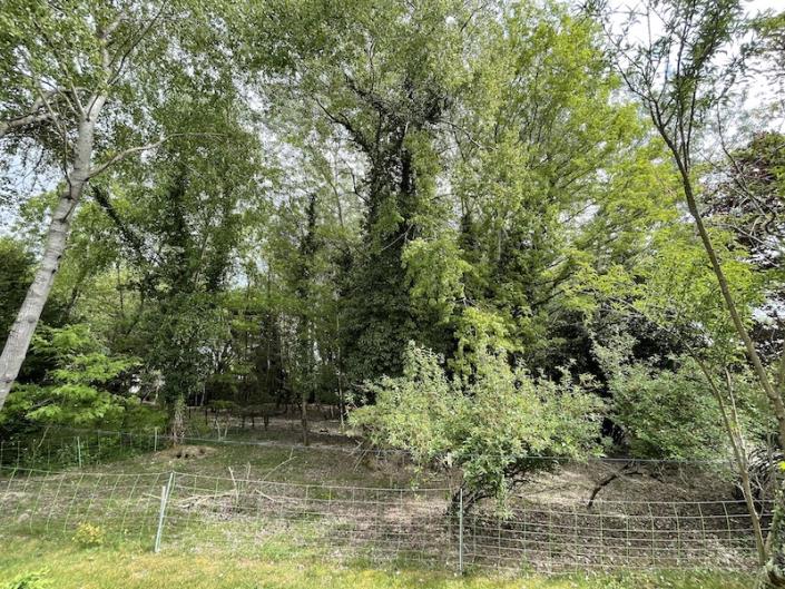 Image No.4-5 Bed Bungalow for sale