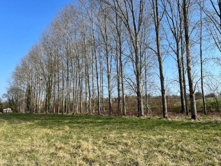 Image No.5-24 Bed Commercial for sale