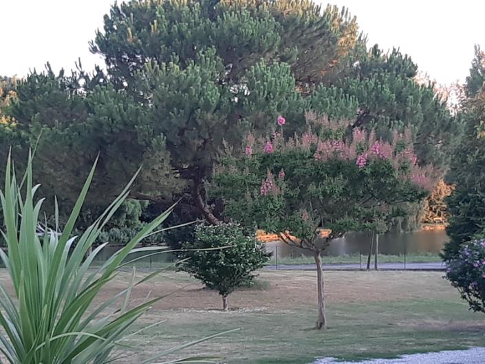 Image No.4-Propriété de pays de 4 chambres à vendre à Chevanceaux