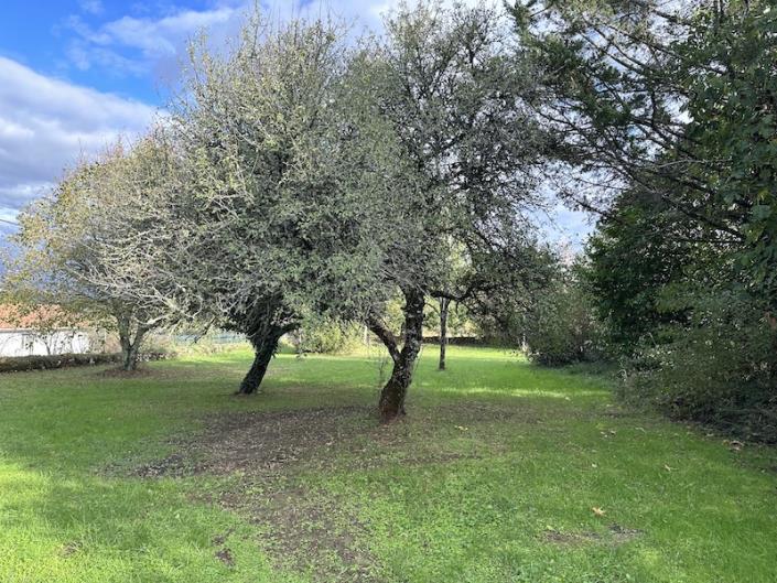 Property for sale in Dordogne 1144 properties A Place in the Sun