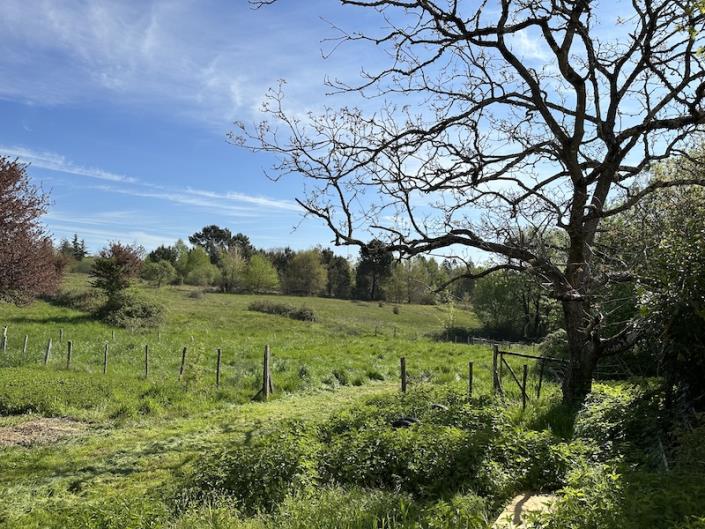 Image No.3-3 Bed Country House for sale