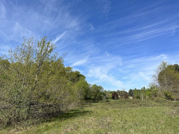 Image No.8-3 Bed Country House for sale