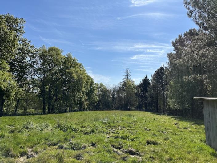 Image No.10-3 Bed Country House for sale