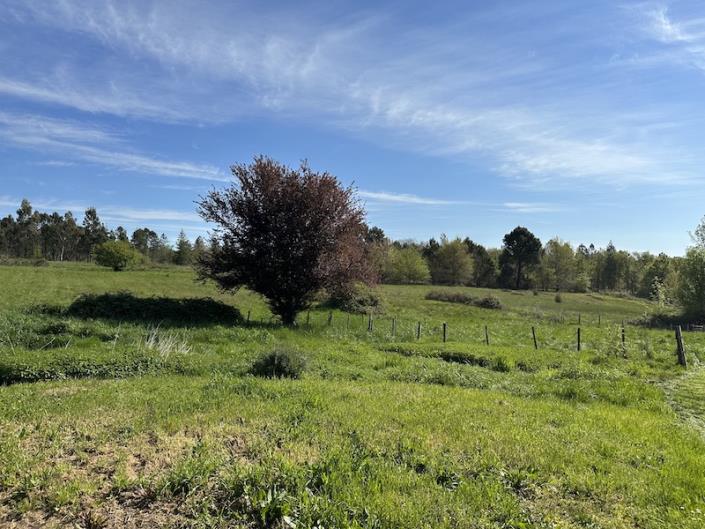 Image No.11-3 Bed Country House for sale