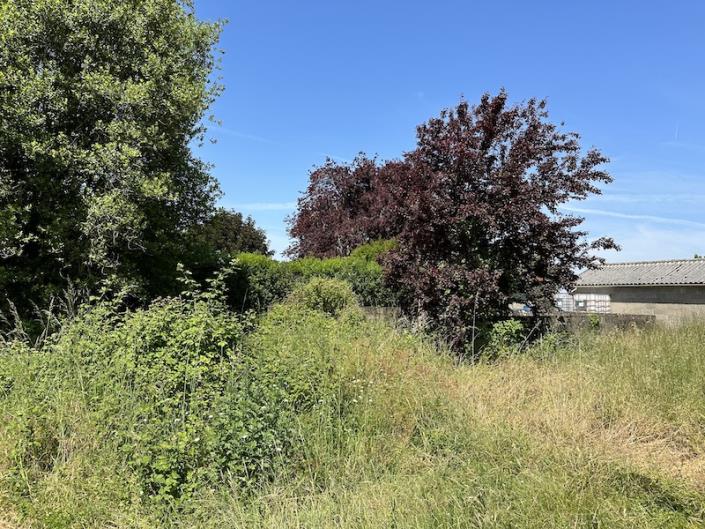Image No.8-Ferme de 4 chambres à vendre à Montguyon