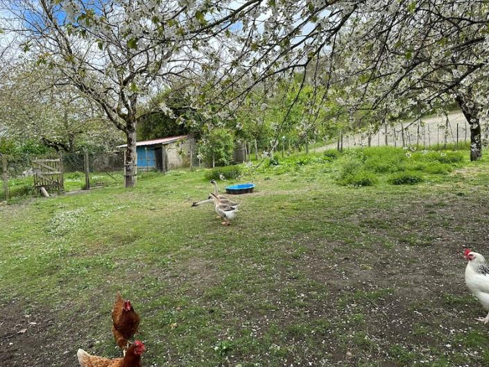 Image No.10-Maison de 3 chambres à vendre à Coutures