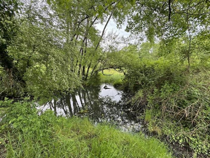 Image No.8-Ferme de 3 chambres à vendre à Montguyon
