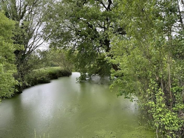 Image No.10-Ferme de 3 chambres à vendre à Montguyon