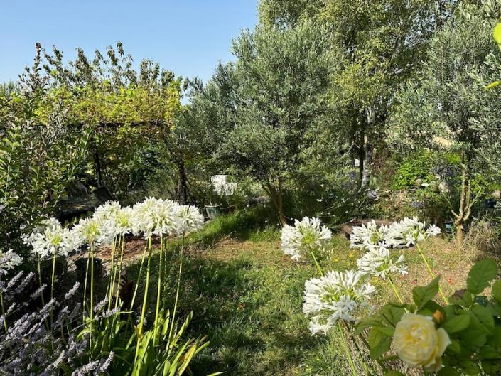Image No.6-Chalet de 2 chambres à vendre à Villebois-Lavalette