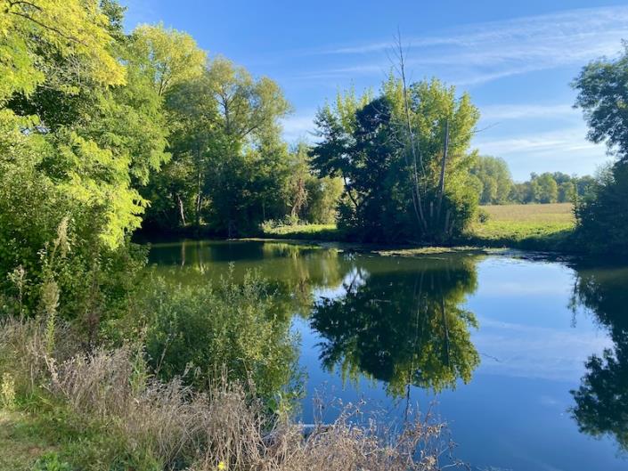 Image No.7-Villa / Détaché de 5 chambres à vendre à Aubeterre-sur-Dronne
