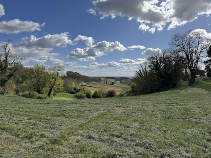 Image No.7-Vignoble de 4 chambres à vendre à Fronsac