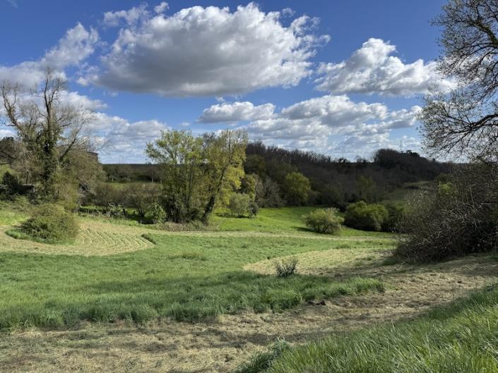 Image No.10-Vignoble de 4 chambres à vendre à Fronsac