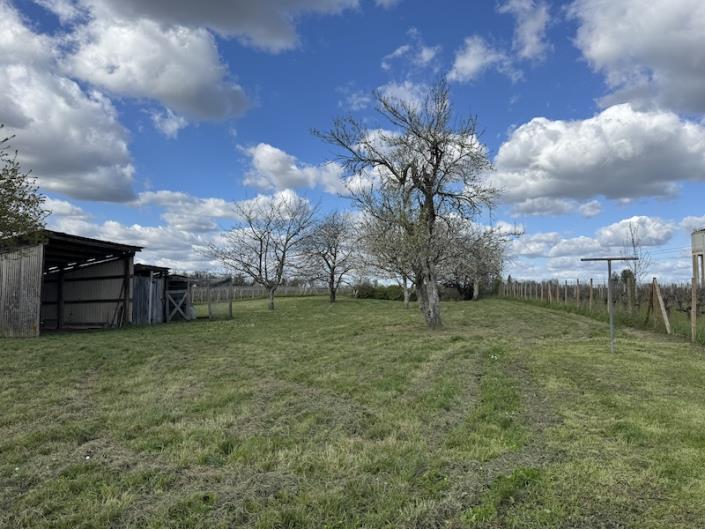 Image No.3-4 Bed Country Property for sale