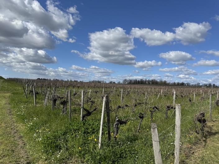 Image No.6-4 Bed Country Property for sale