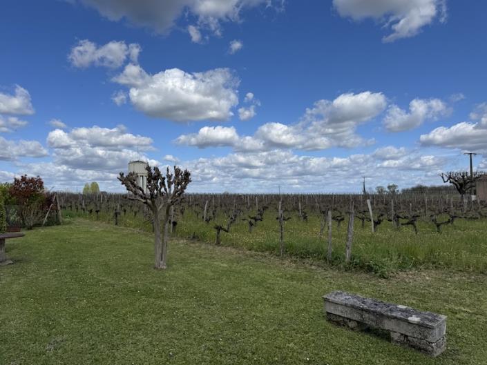 Image No.2-4 Bed Country Property for sale