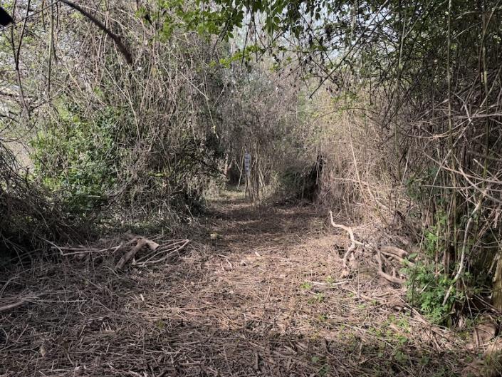 Image No.4-Grange à vendre à Montguyon