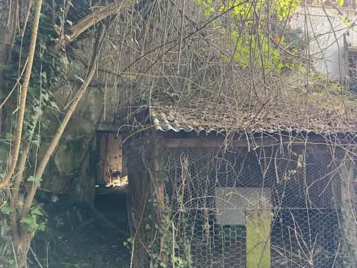 Image No.8-Grange à vendre à Montguyon