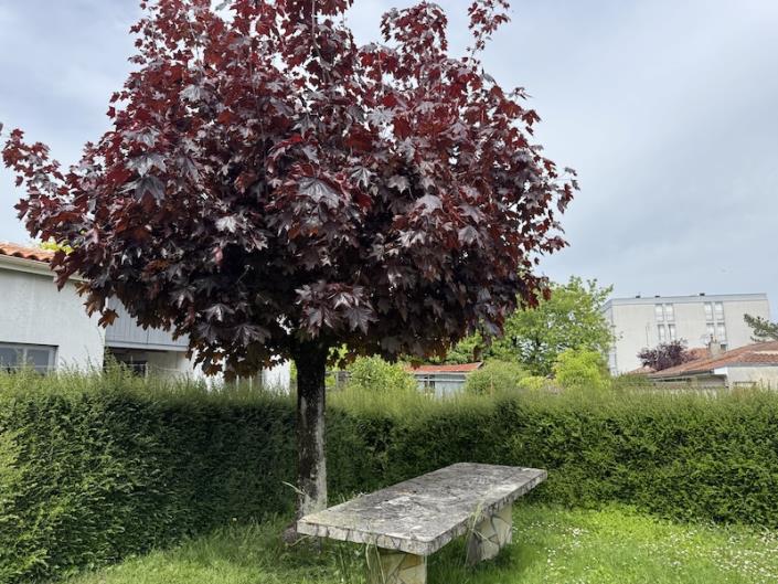 Image No.3-Maison de 3 chambres à vendre à Barbezieux-Saint-Hilaire