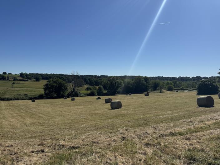 Image No.2-Barn for sale