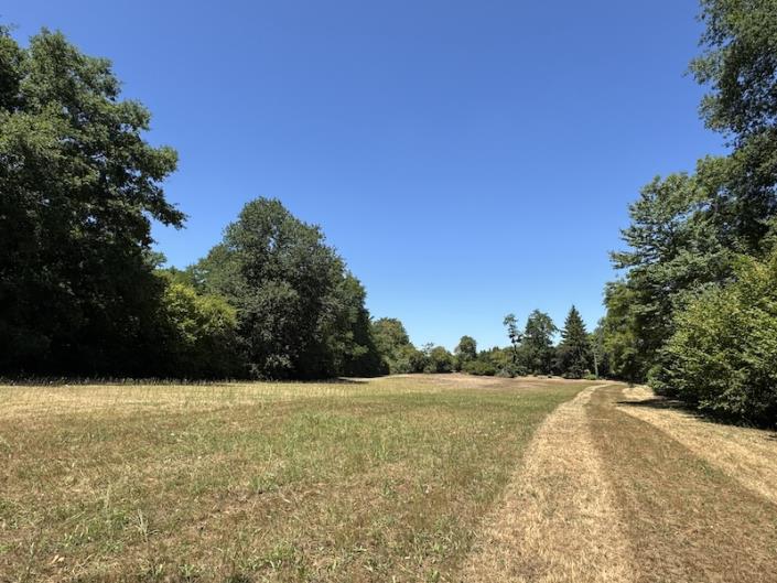 Image No.16-Maison de campagne de 5 chambres à vendre à Montguyon