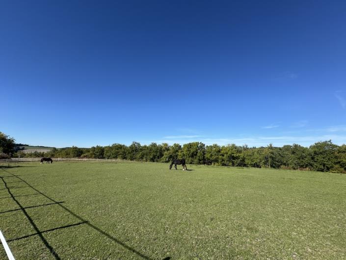 Image No.11-6 Bed Country House for sale