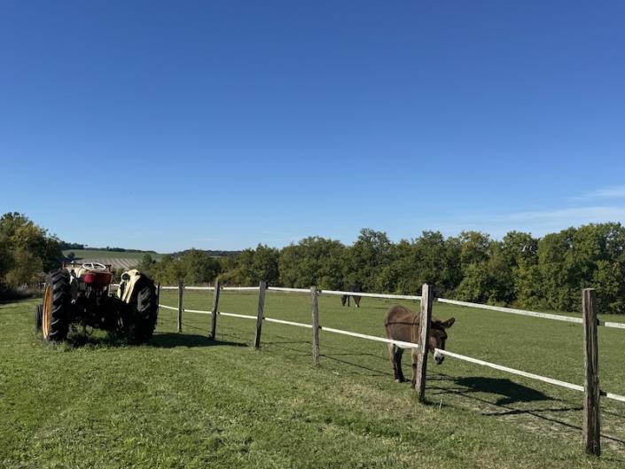 Image No.12-6 Bed Country House for sale