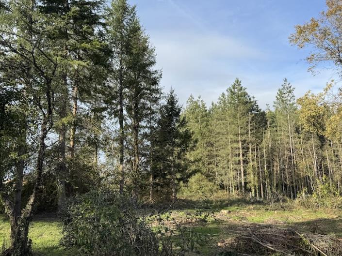 Image No.3-Propriété de pays de 6 chambres à vendre à Montguyon