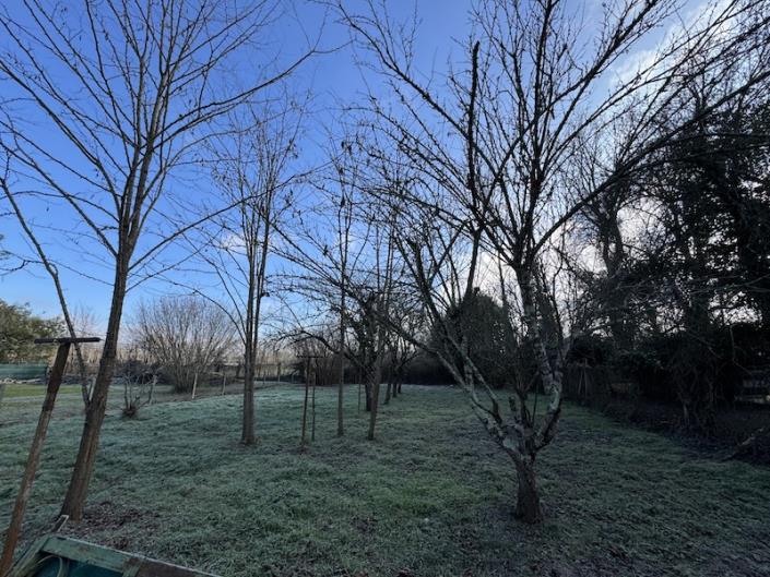 Image No.2-2 Bed House for sale