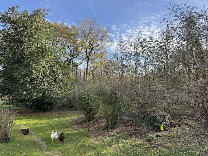 Image No.5-6 Bed Country House for sale