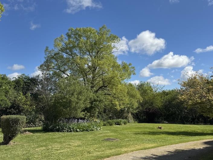 Image No.12-5 Bed Country House for sale