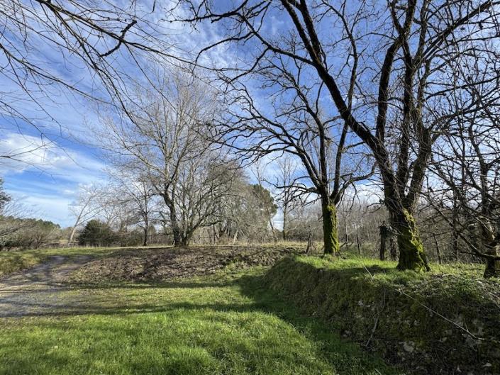 Image No.4-Ferme de 3 chambres à vendre à Cercoux