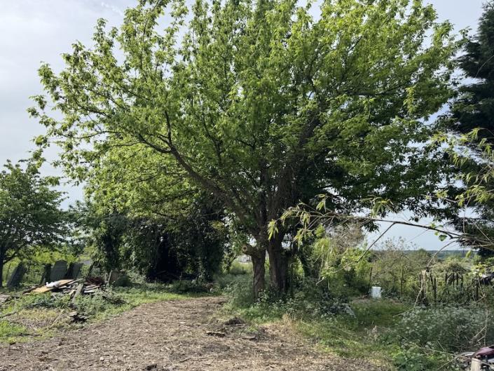 Image No.7-Maison de 2 chambres à vendre à Montguyon