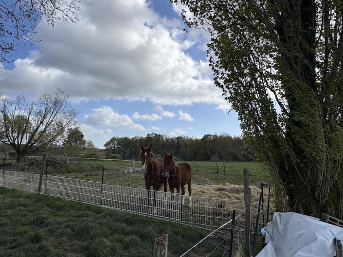 Image No.7-Bungalow de 3 chambres à vendre à Polignac