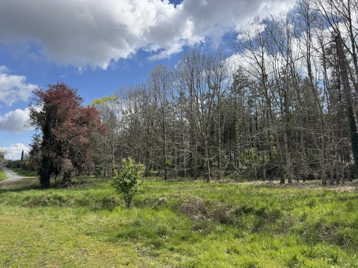 Image No.2-Maison de campagne de 1 chambre à vendre à Maransin