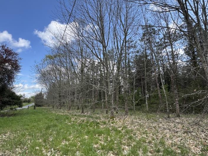 Image No.8-Maison de campagne de 1 chambre à vendre à Maransin