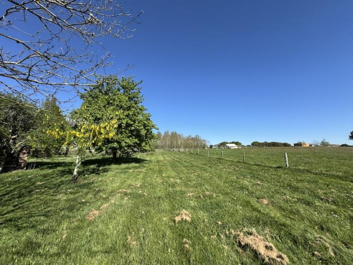 Image No.4-9 Bed Country House for sale