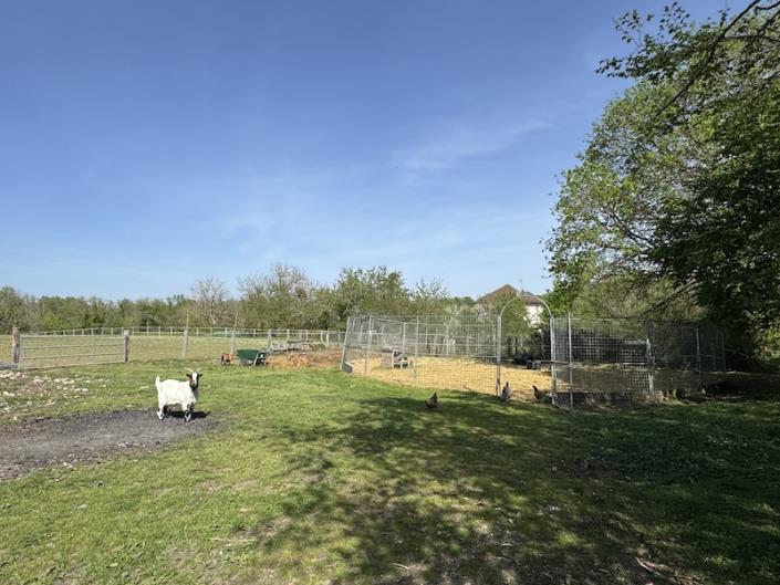 Image No.11-6 Bed Country Property for sale