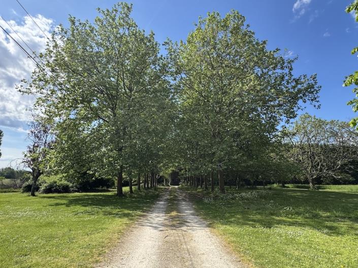 Image No.4-9 Bed Chateaux for sale