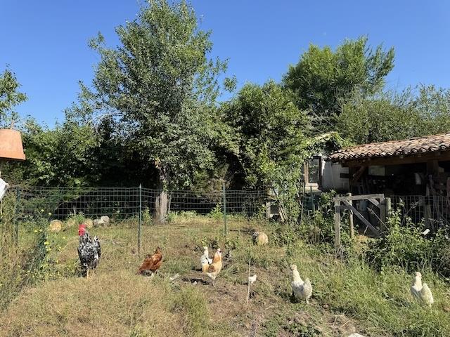 Image No.14-5 Bed Farmhouse for sale