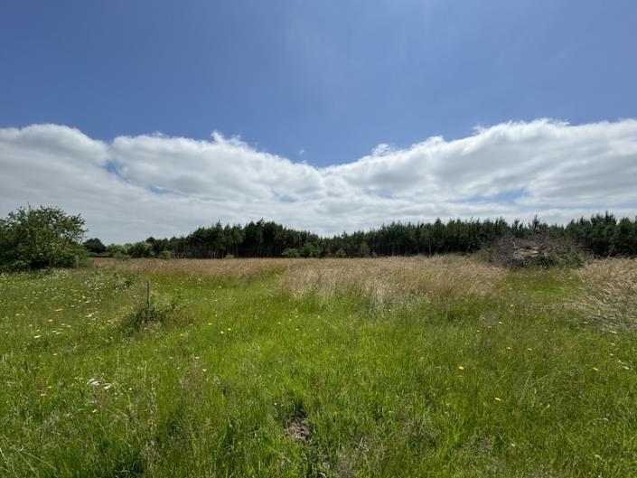 Image No.4-5 Bed Country House for sale