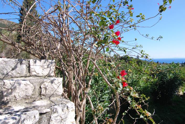 Image No.24-2 Bed Villa / Detached for sale