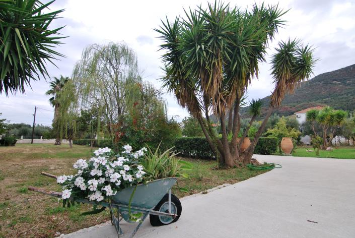 Image No.23-Villa de 3 chambres à vendre à Sami