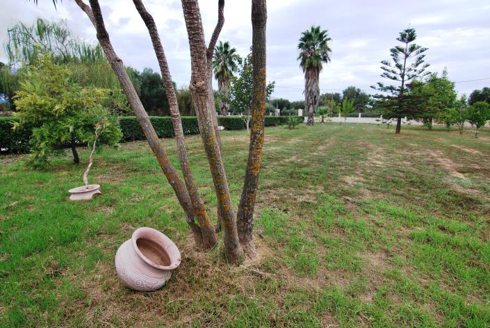 Image No.24-Villa de 3 chambres à vendre à Sami