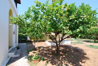Villa_for_sale_in_Assos_Kefalonia--67-