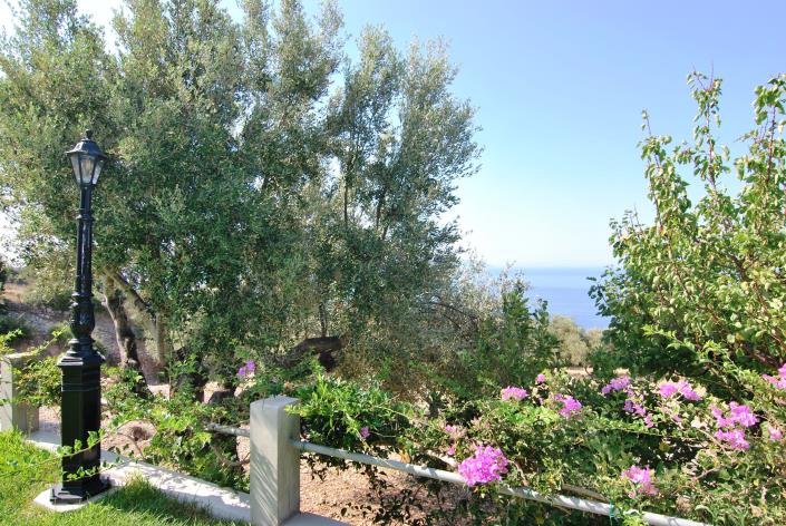 Image No.14-Commercial for sale