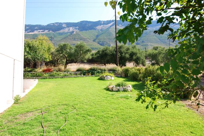 Image No.15-Commercial for sale