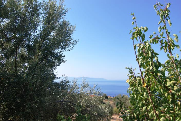 Image No.19-Commercial for sale